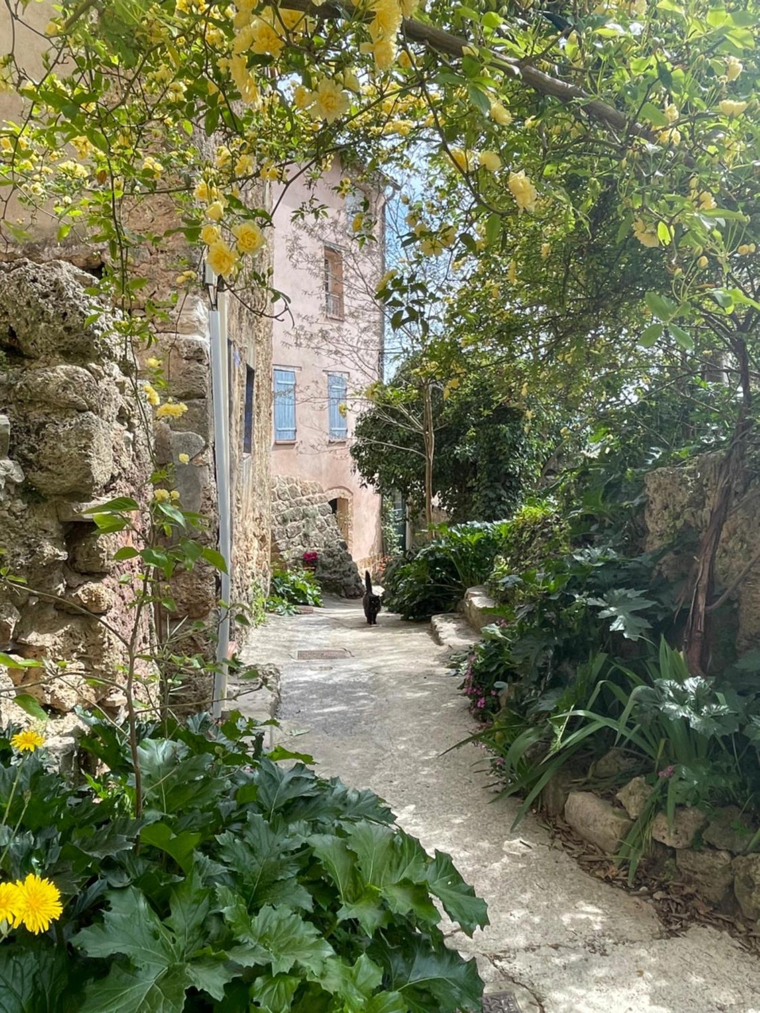 Cosy & Chill Appartements - Au Coeur Du Village De Cotignac, En Provence Esterno foto